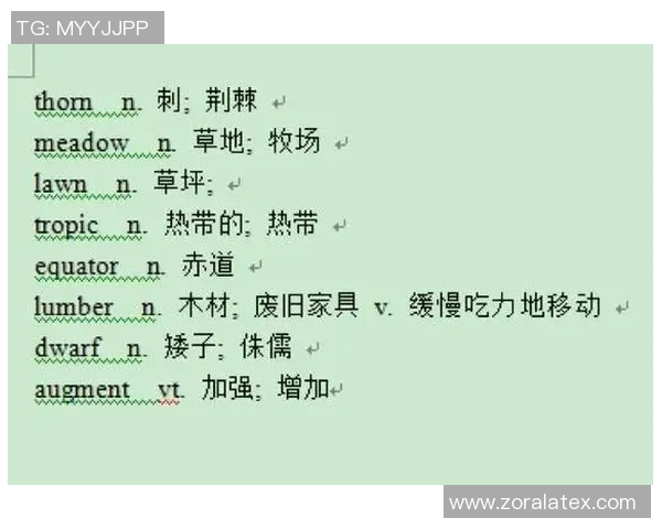 足球英文怎么写的以及相关词汇的详细解析与应用指南
